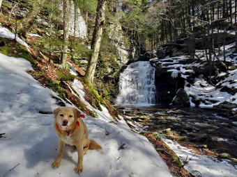 picture taken during a hike