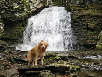 picture taken during a hike