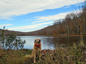 picture taken during a hike