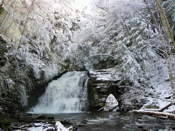 picture taken during a hike