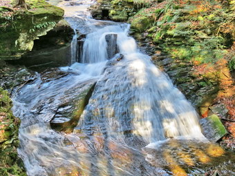 picture taken during a hike