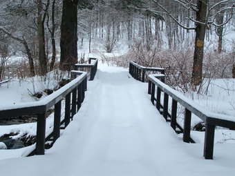 picture taken during a hike