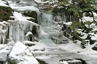 picture taken during a hike