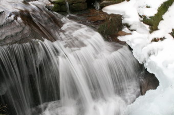 picture taken during a hike