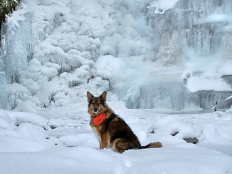 picture taken during a hike