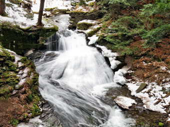 picture taken during a hike