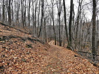 picture taken during a hike