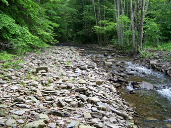 picture taken during a hike