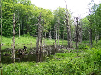 picture taken during a hike