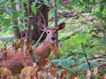 picture taken during a hike