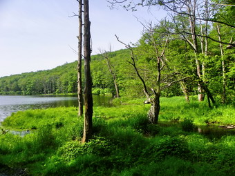 picture taken during a hike