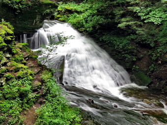 picture taken during a hike