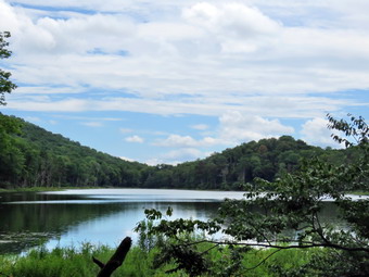 picture taken during a hike