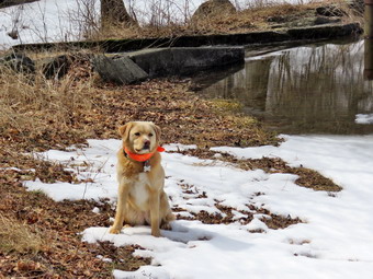 picture taken during a hike