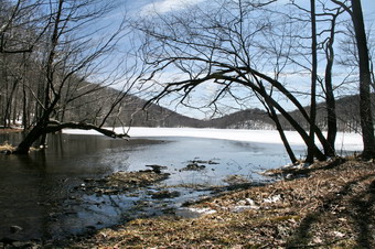 picture taken during a hike