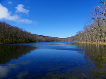 picture taken during a hike