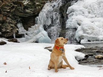 picture taken during a hike