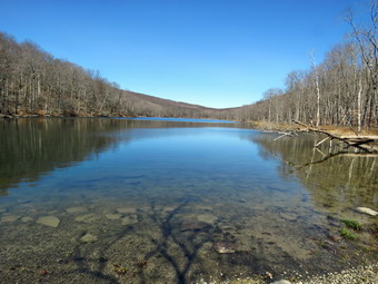 picture taken during a hike