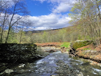 picture taken during a hike