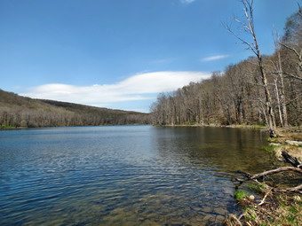 picture taken during a hike