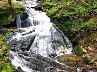 picture taken during a hike