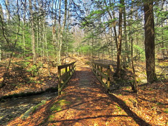 picture taken during a hike