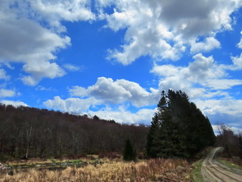 picture taken during a hike