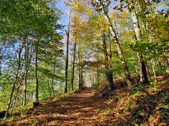 picture taken during a hike