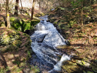 picture taken during a hike