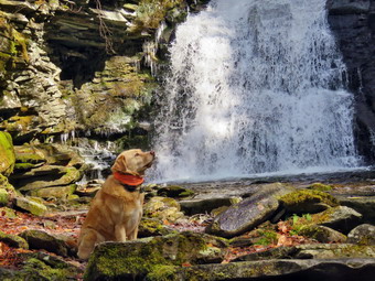 picture taken during a hike