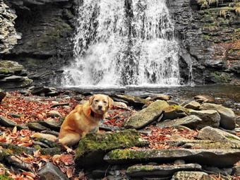 picture taken during a hike