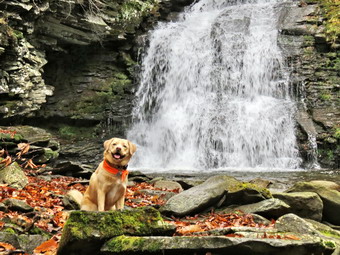 picture taken during a hike