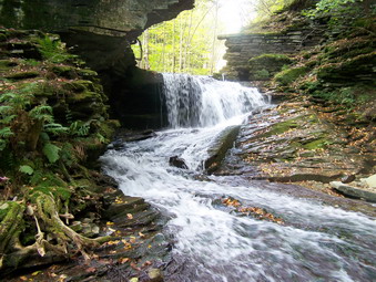 picture taken during a hike