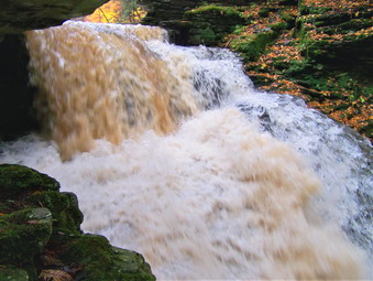 picture taken during a hike