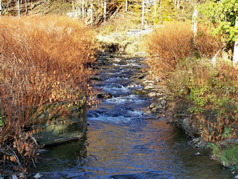 picture taken during a hike