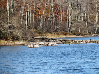 picture taken during a hike