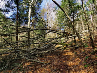 picture taken during a hike