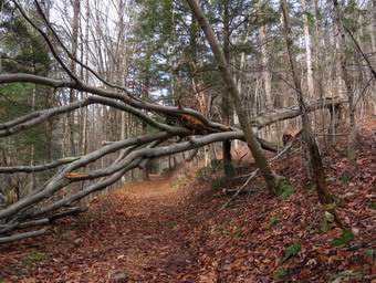 picture taken during a hike