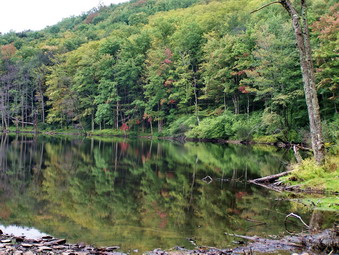 picture taken during a hike