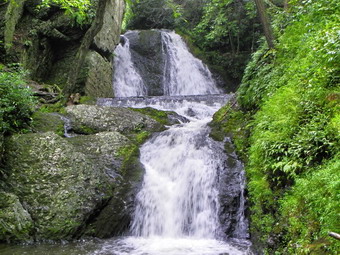 picture taken during a hike