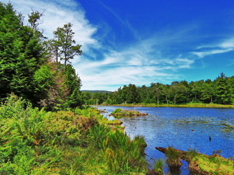 picture taken during a hike