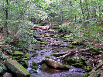 picture taken during a hike