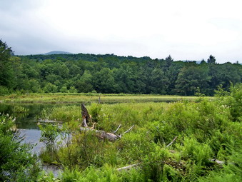 picture taken during a hike