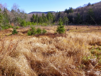 picture taken during a hike