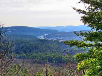 picture taken during a hike