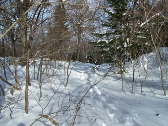 picture taken during a hike