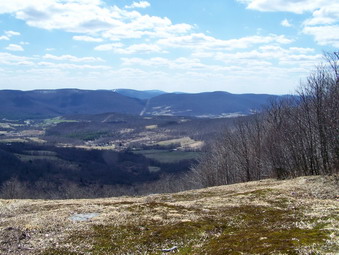 picture taken during a hike