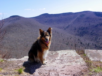 picture taken during a hike