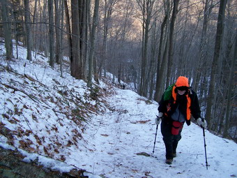 picture taken during a hike