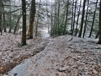 picture taken during a hike